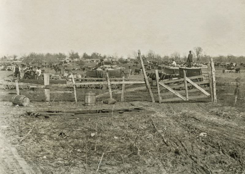 Workers in the field, Greenville, Texas