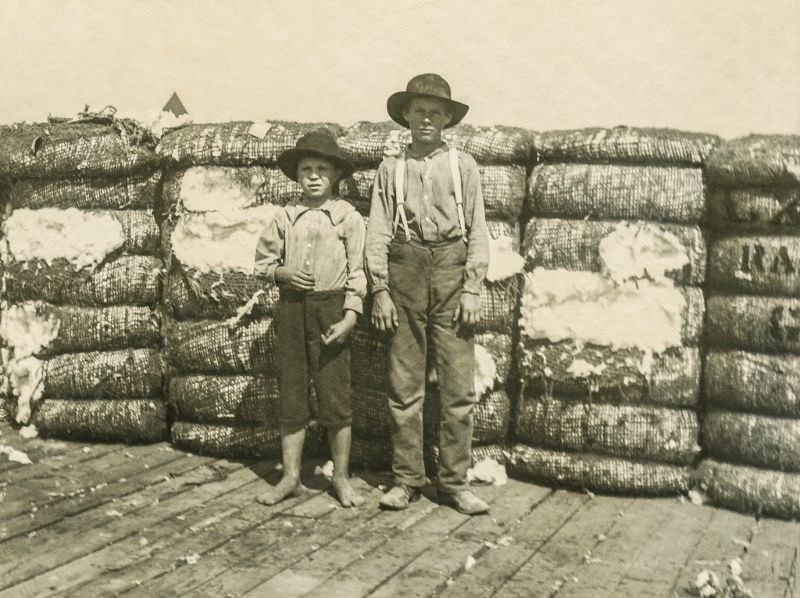 Boys and their cotton, Greenville, Texas