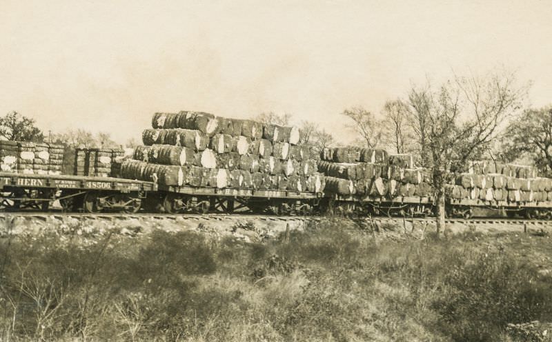 Compress cotton train, Greenville, Texas