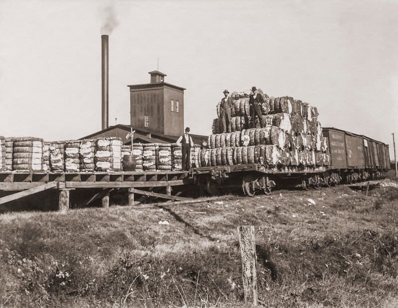 Cotton bales on railroad, Greenville, Texas