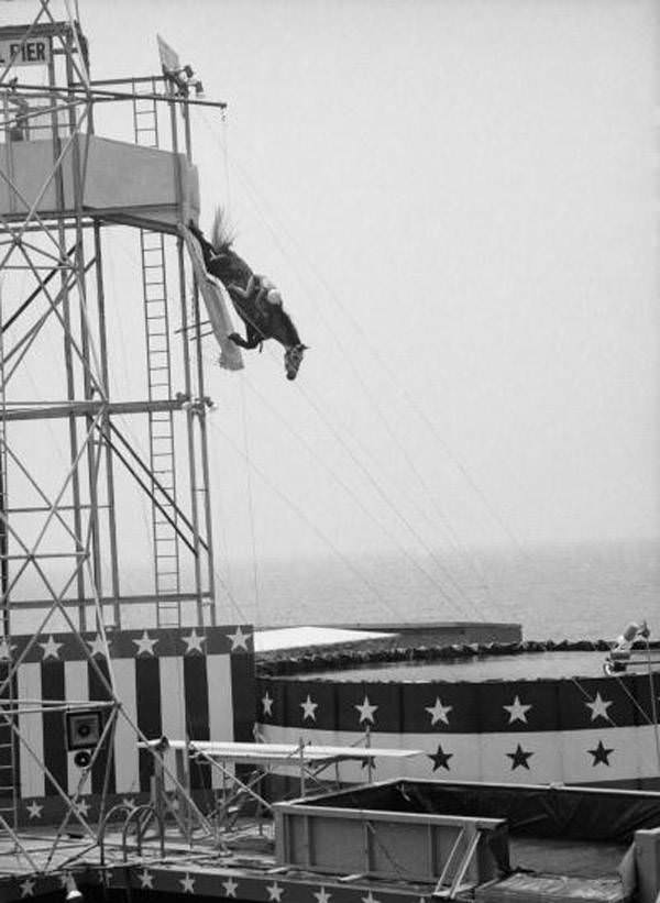Horse and rider plunge towards the pool below in Atlantic City. 1969.