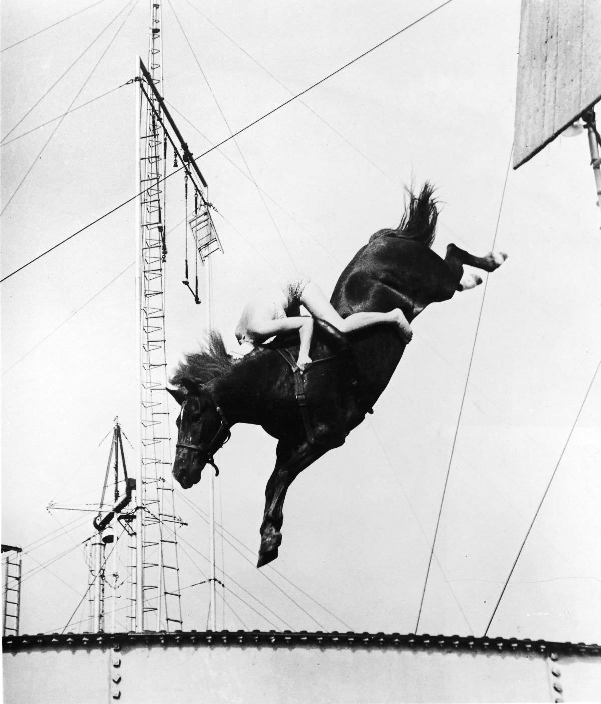 Horse Diving Show: The Most Dangerous And Risky Stunt Show Ever Performed
