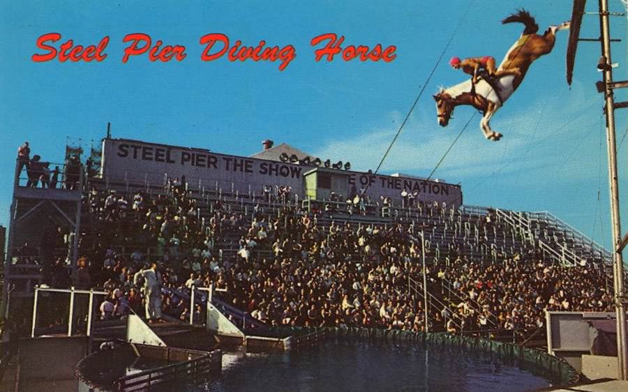 A postcard from the 1960s, showcasing the Steel Pier's popular diving horse’s attraction.