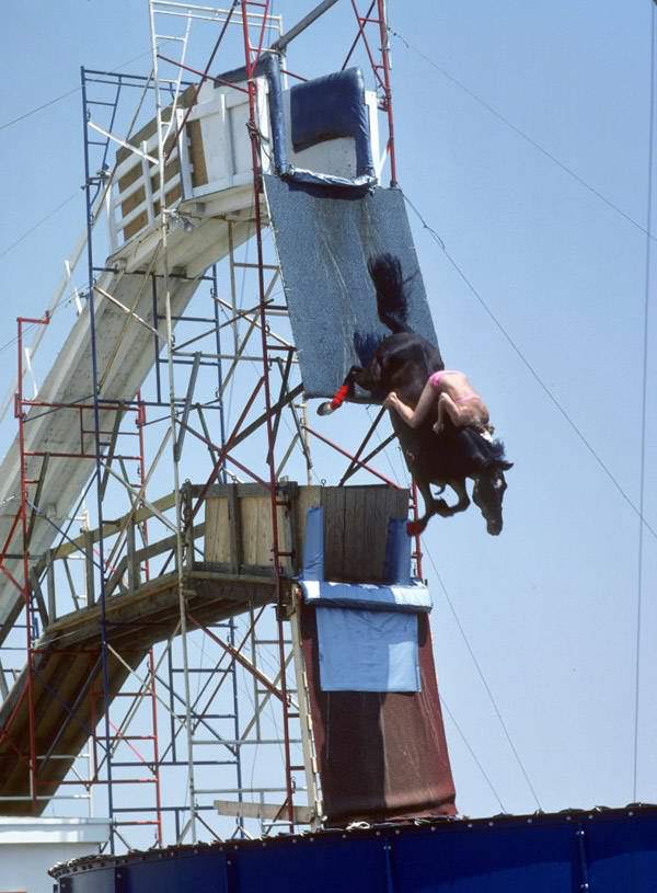 Horse and diver descend head-first towards the water below. 1977.