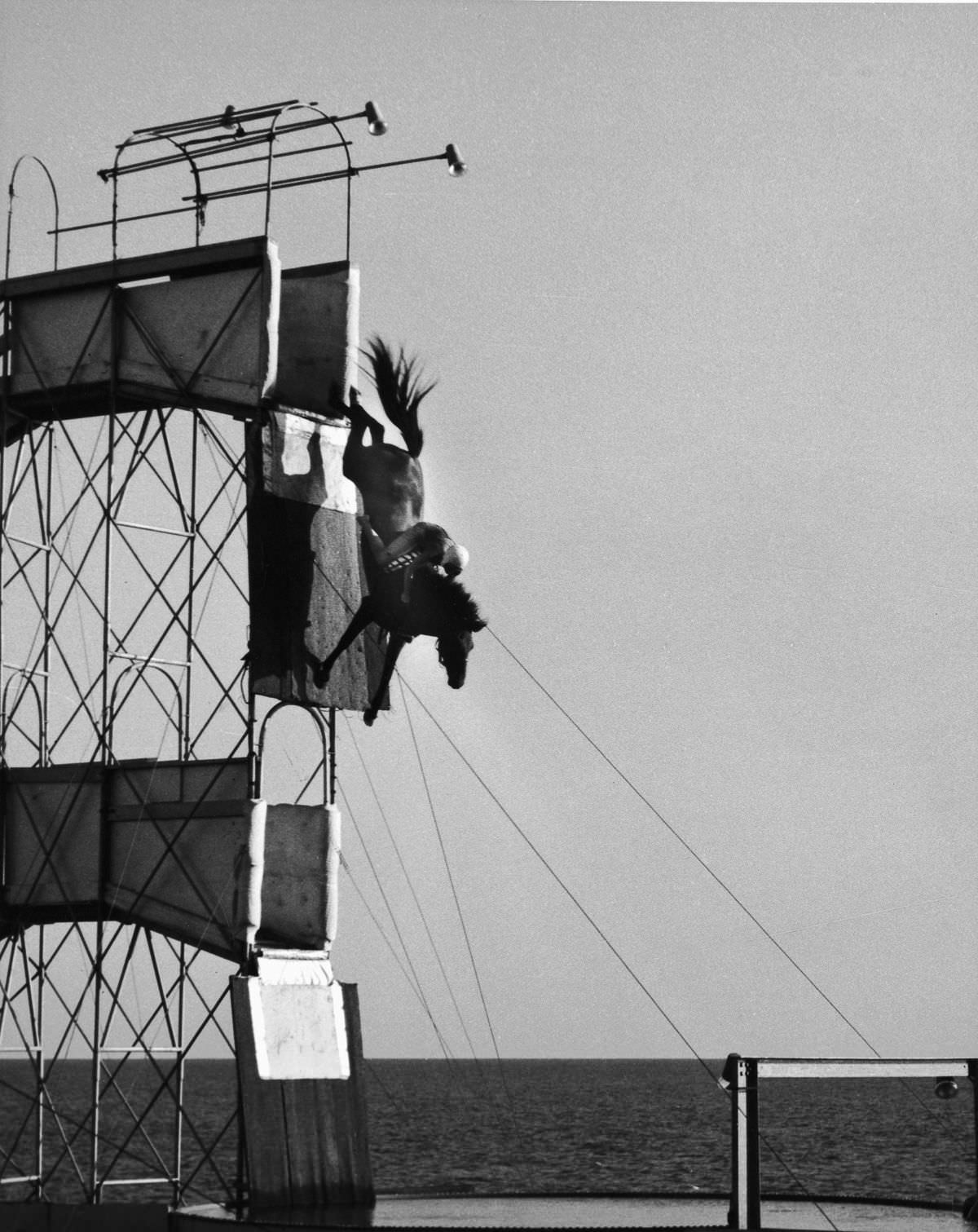 A rider clings to their horse as the animal makes a near vertical drop into the diving pool. Circa 1940s.