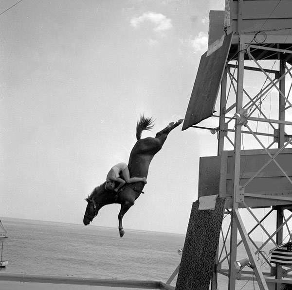 A rider is seen hanging on for dear life as the horse plunges towards the pool below. 1955.