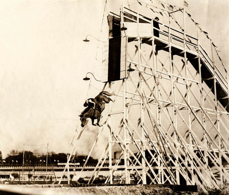 Divers often trained with their horses for years, gradually moving up to higher and more challenging diving platforms.