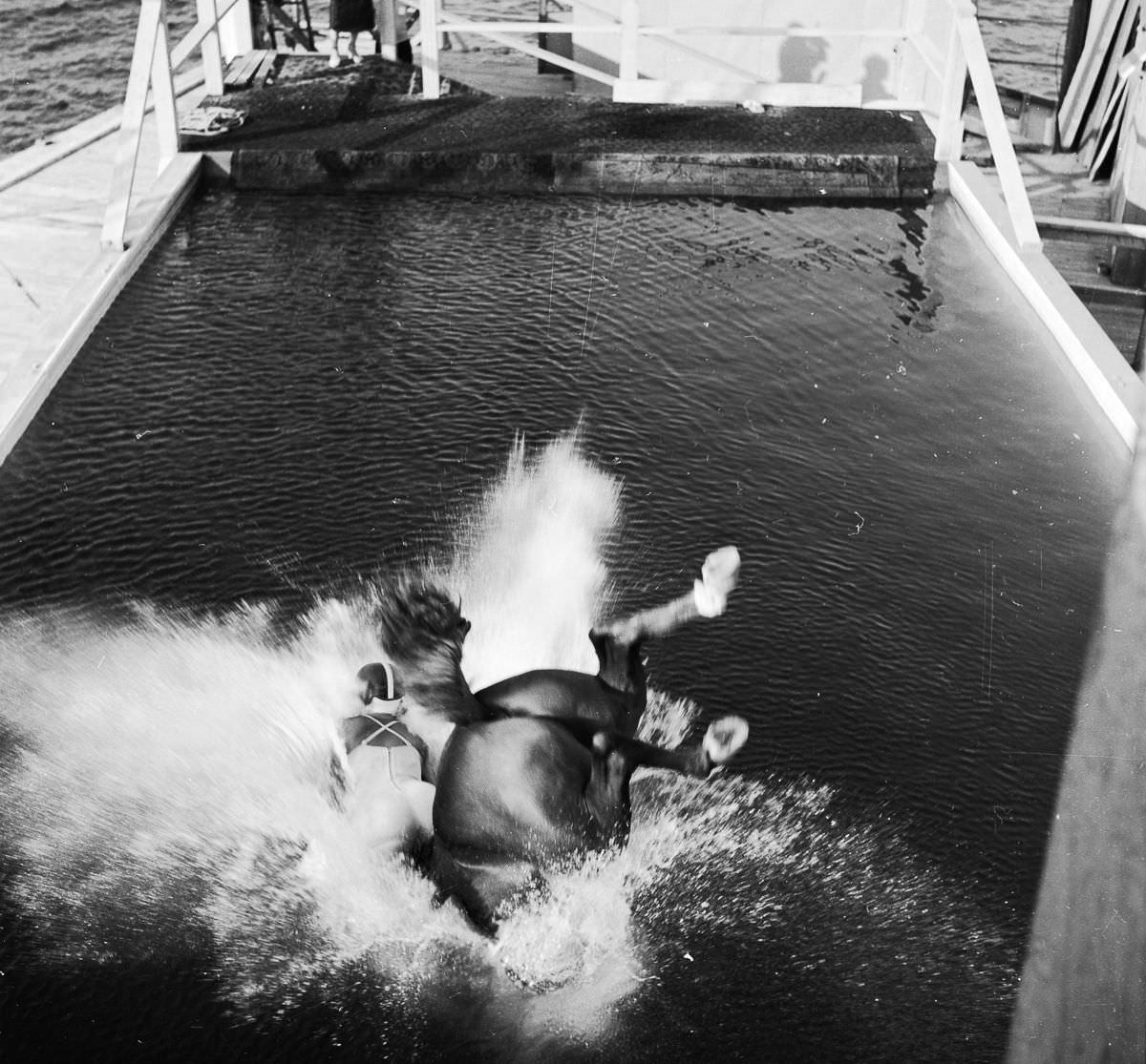 A horse with rider fallen into the water.