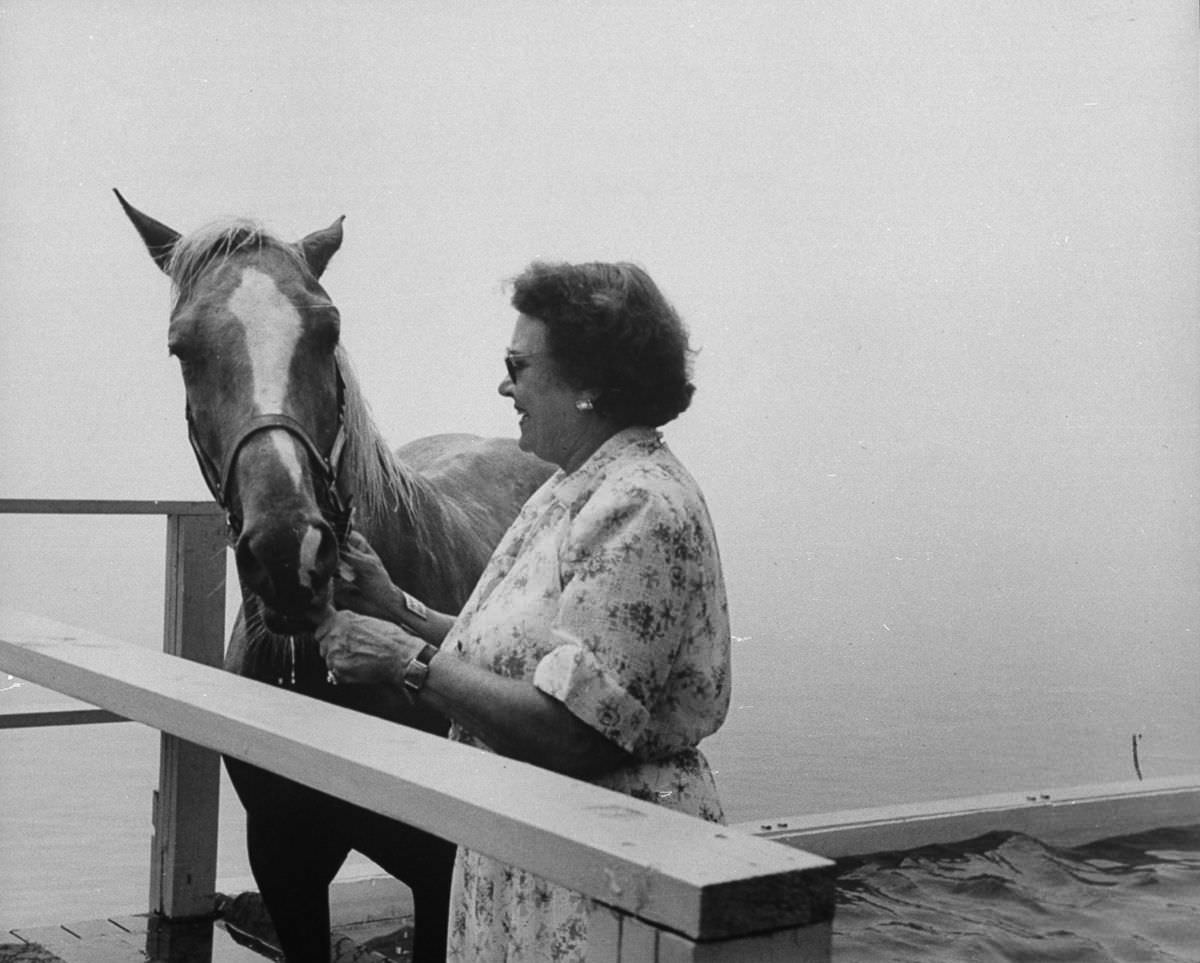 The horse in training receives his reward from a trainer after completing a successful practice dive. 1953.