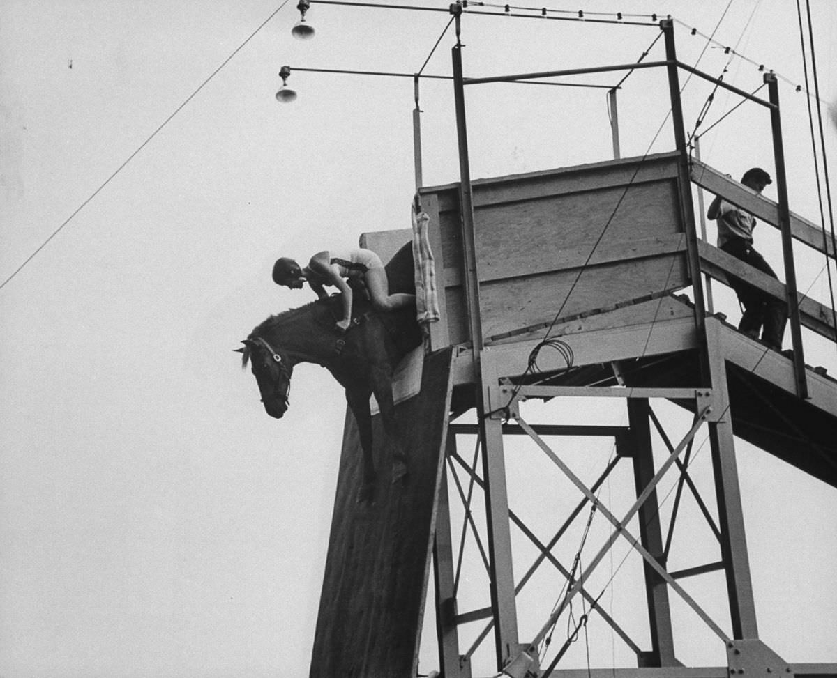 A rider leans forward as the horse extends its front legs in preparation to dive.