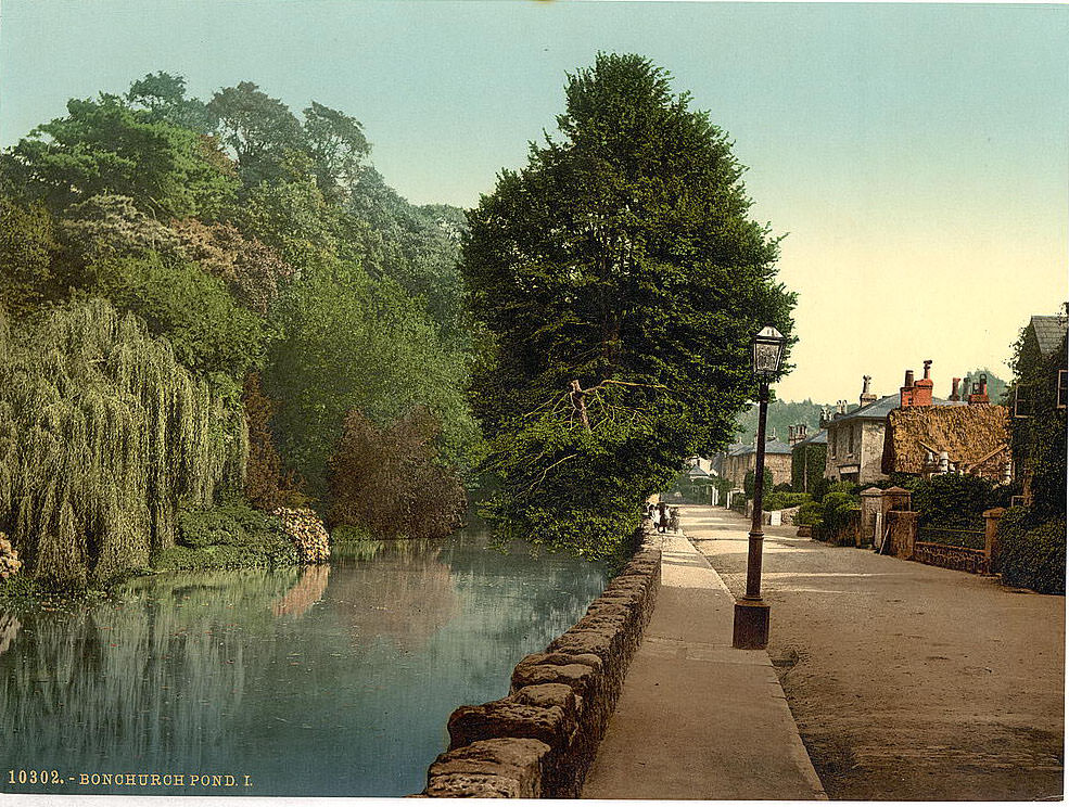 Bonchurch Pond, I