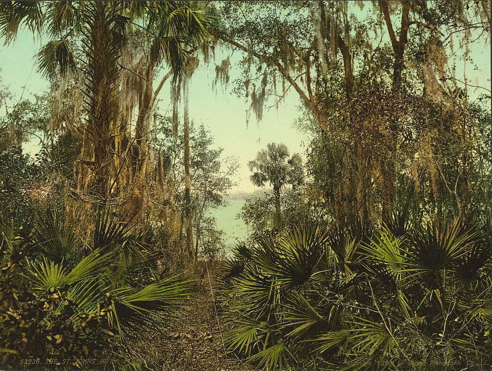 The St. Johns River, Florida, 1898