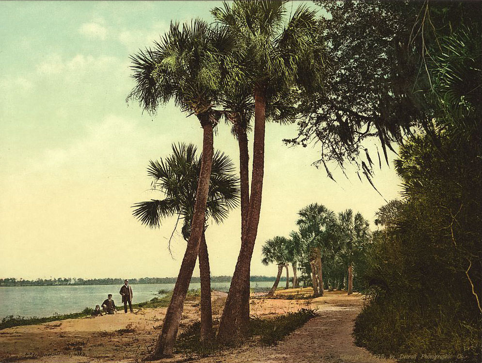 Indian River, Florida, 1898