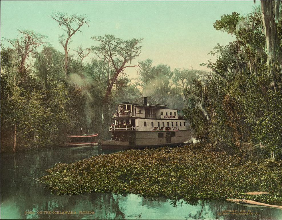 On the Ocklawaha, 1902