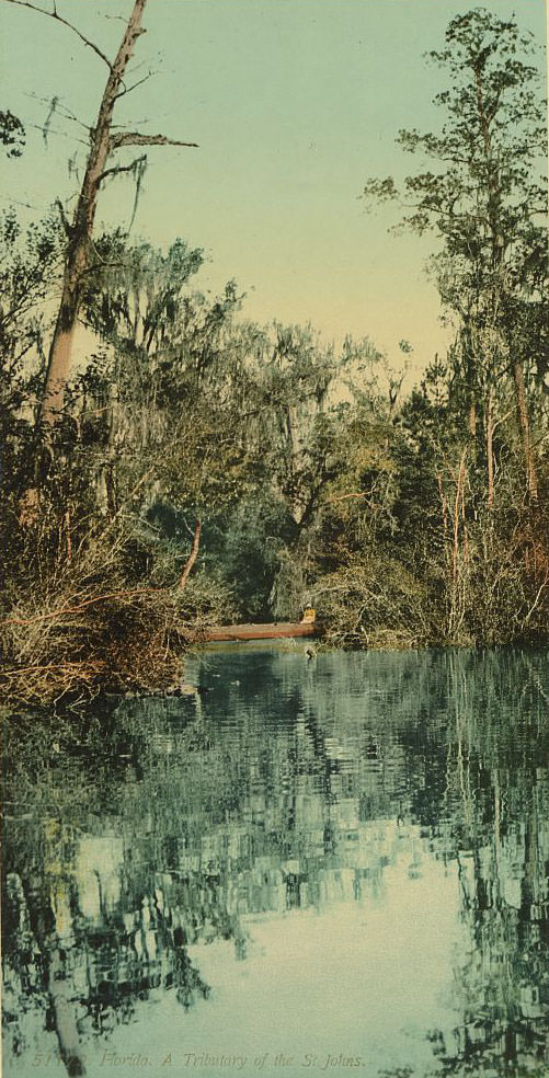 Florida. Tributary of the St. Johns, 1898