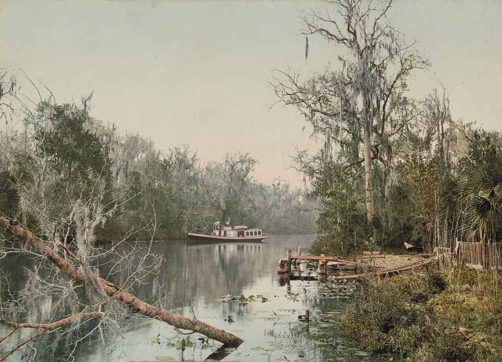 Rice Creek, 1898