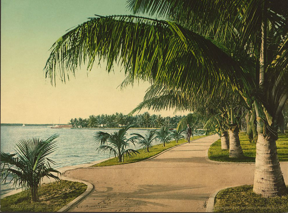 The walk at Palm Beach,1898