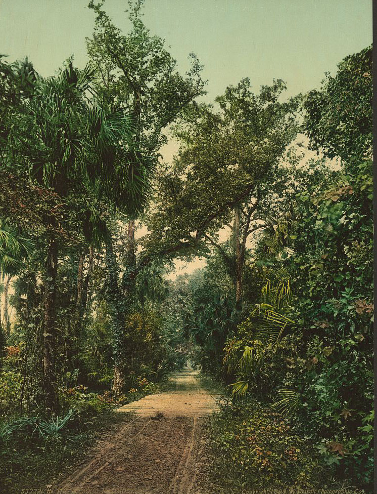 In the Hammock, 1898