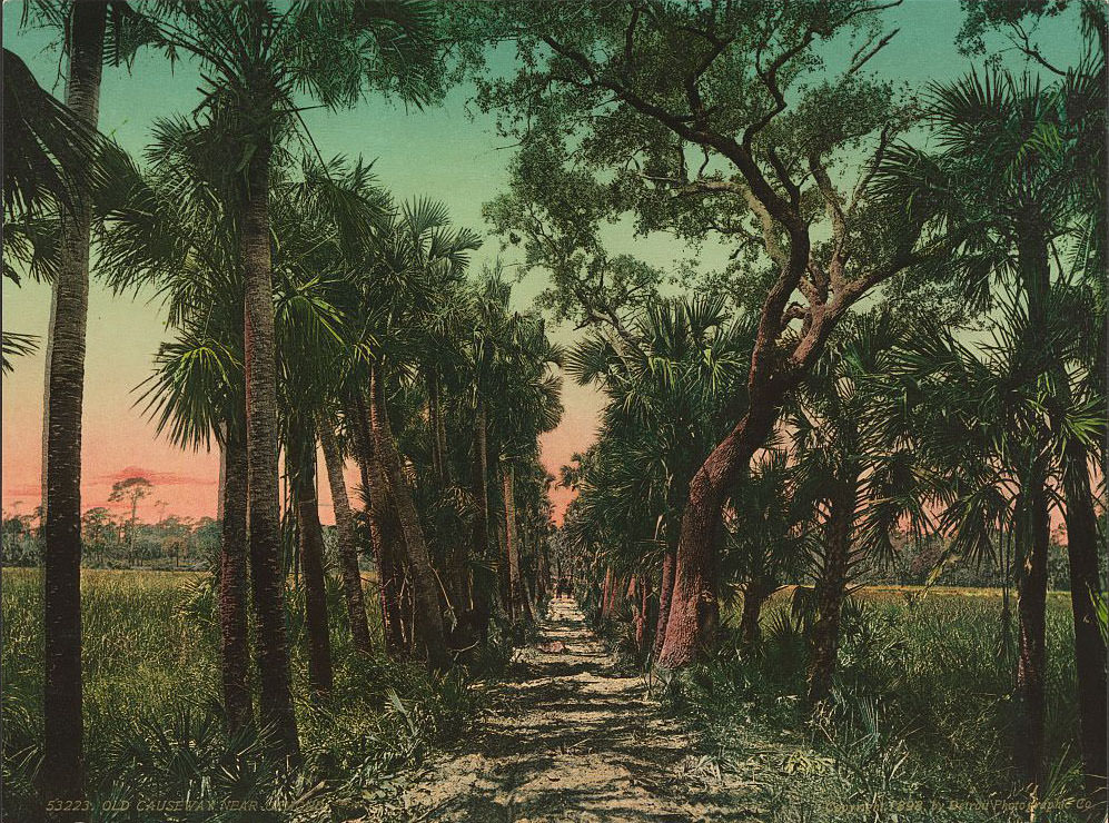 Old causeway near Ormond,1 898