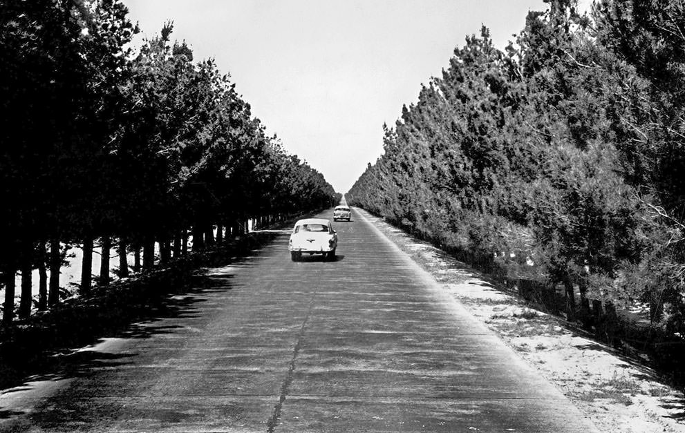 This photo shows the now-destroyed Kabul-Herat highway, that linked the Afghan capital to the Iranian border city of Mashad. Built in the early second half of the 20th century, the highway has been virtually destroyed through decades of warfare.