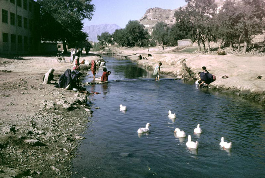 People & Ducks