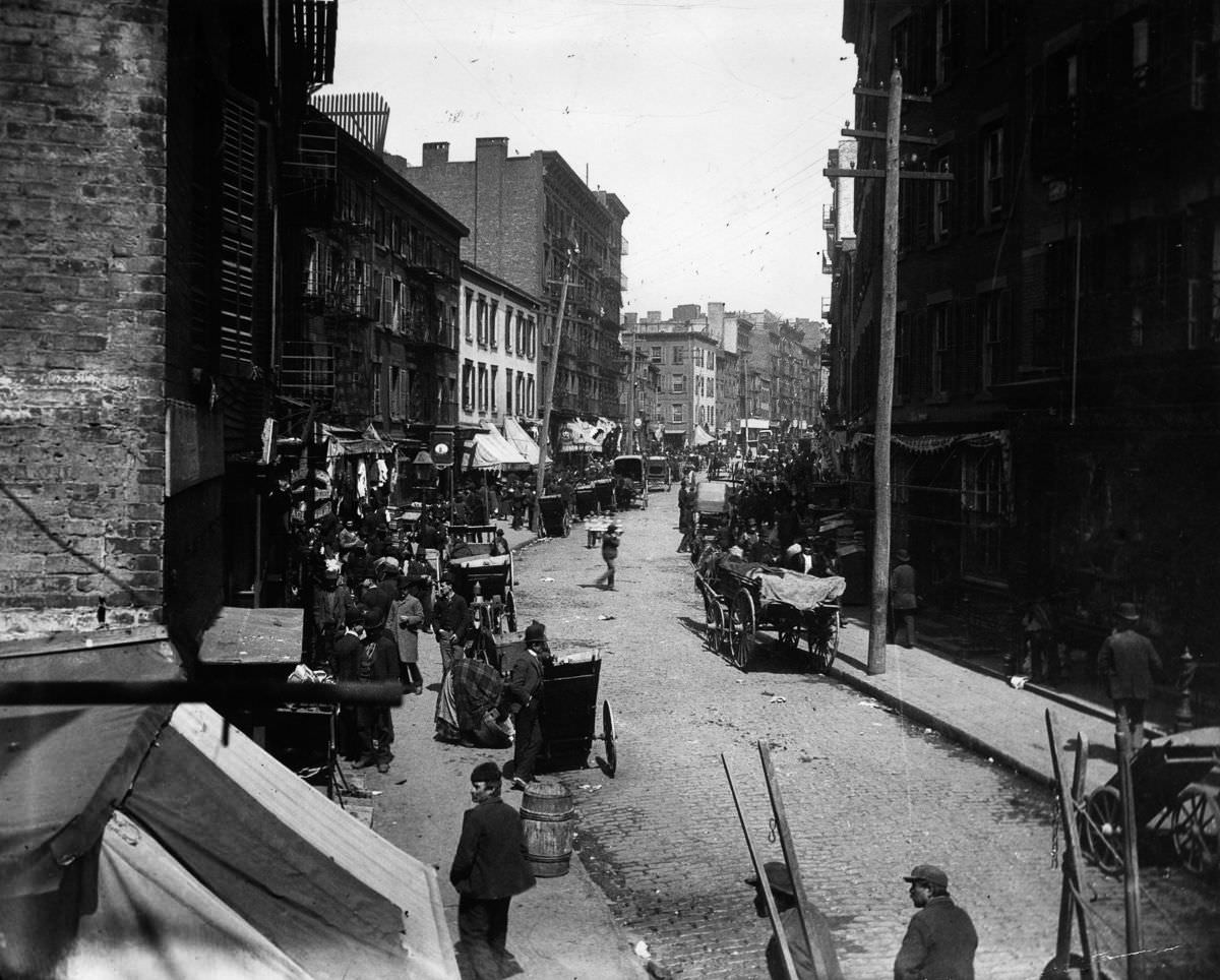 The Mulberry Bend area in Little Italy, 1890