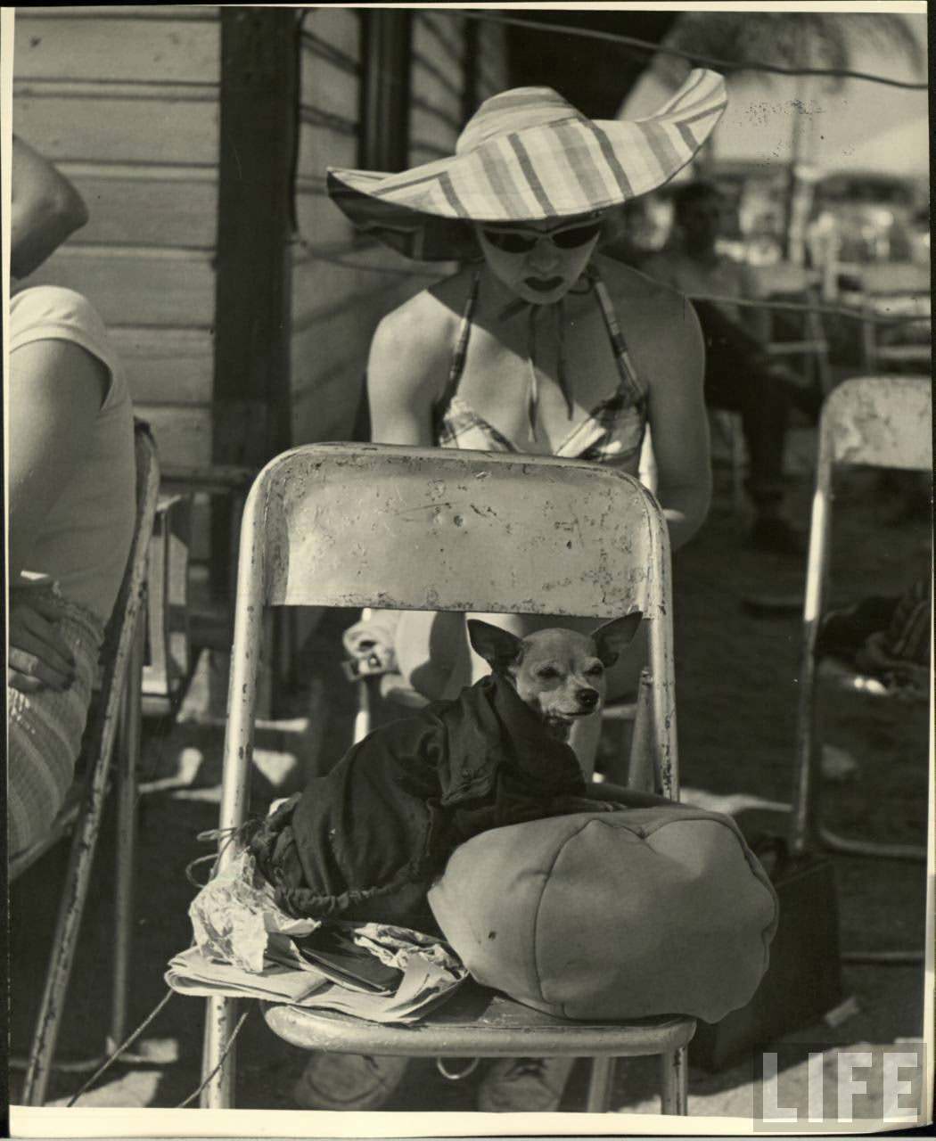 Circus Girls Of Sarasota: Vintage Photos Documenting Daily Life of Sassy Acrobat Performers, 1949