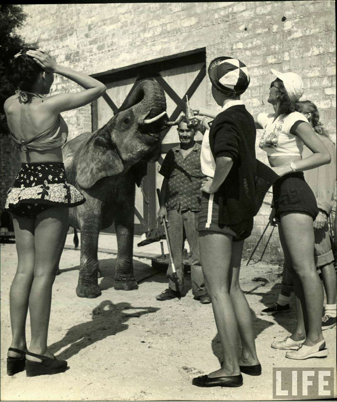 Circus Girls Of Sarasota: Vintage Photos Documenting Daily Life of Sassy Acrobat Performers, 1949