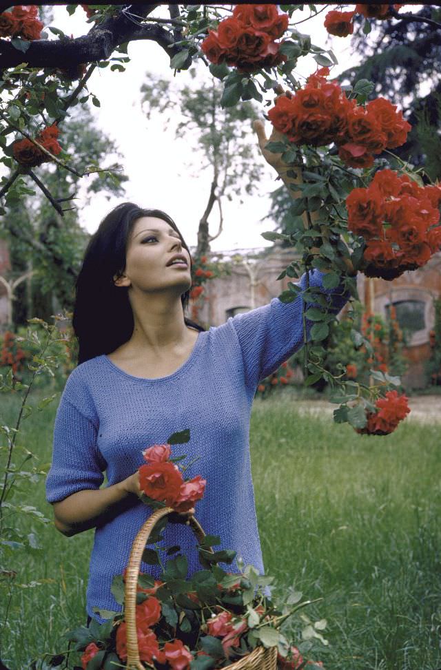 Sophia Loren outside at her villa picking roses.