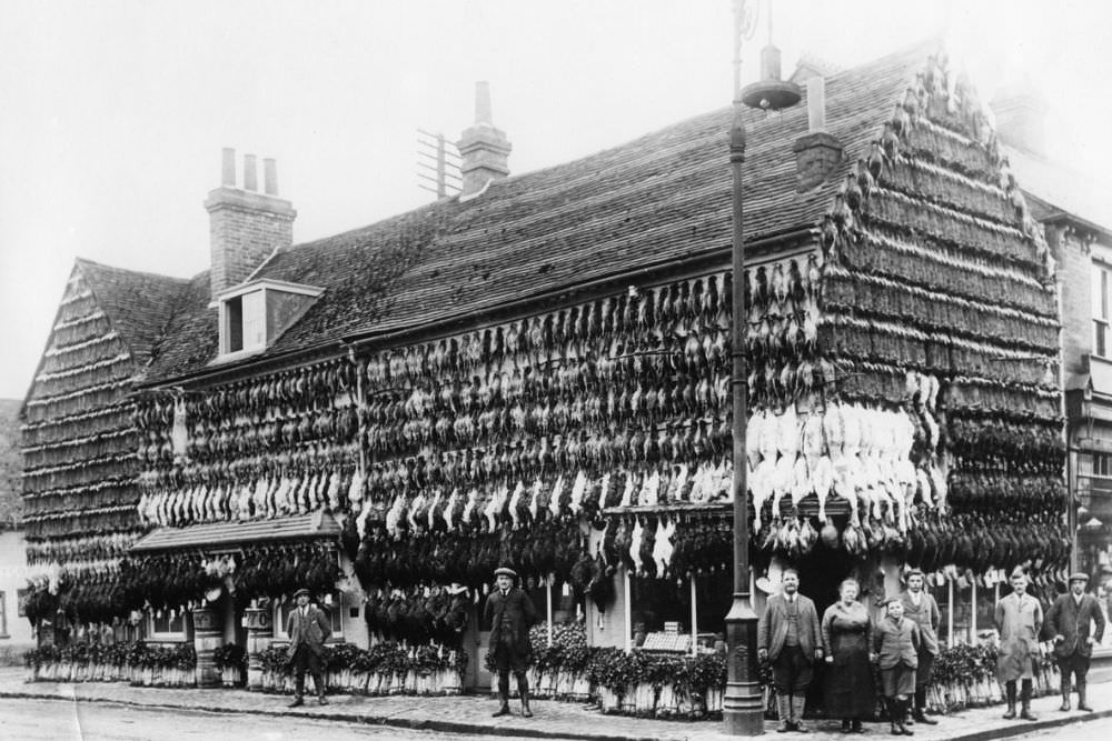 Butchers Shops Of Victorian Era: Photos Show Slaughtered Animals Hung Outside The Shops