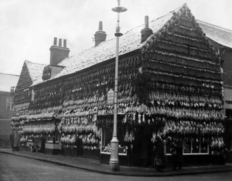 Butchers Shops Of Victorian Era: Photos Show Slaughtered Animals Hung Outside The Shops