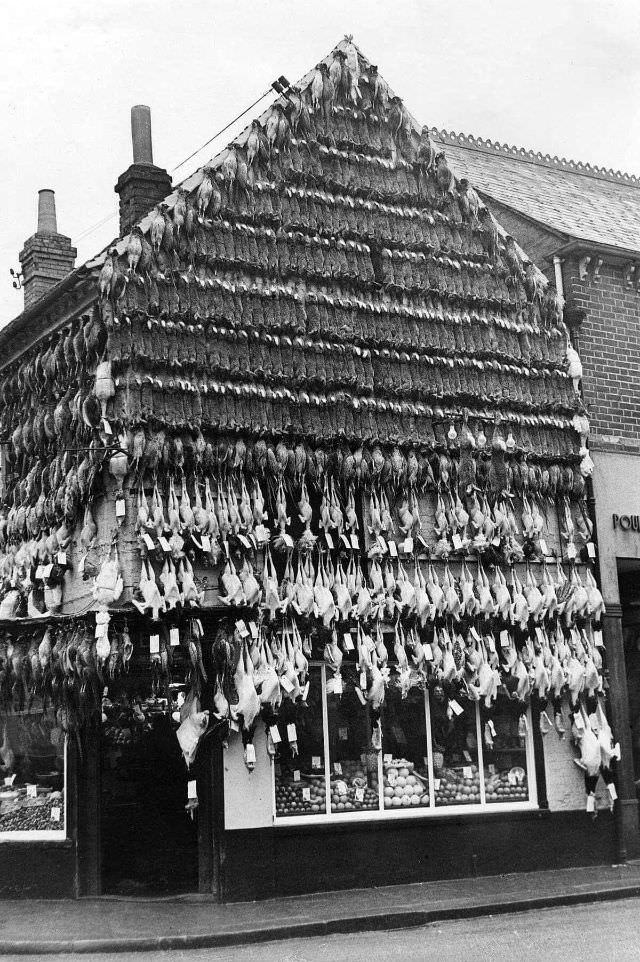 Butchers Shops Of Victorian Era: Photos Show Slaughtered Animals Hung Outside The Shops