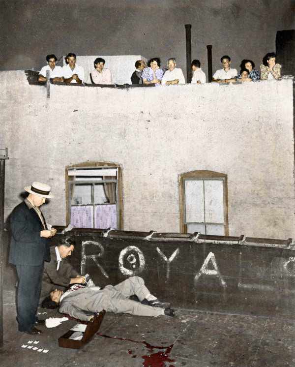 Forensic detectives take the fingerprints of murdered store owner Joseph Gallichio, as he lies on the roof beside his cage of racing pigeons. New York, 1941.