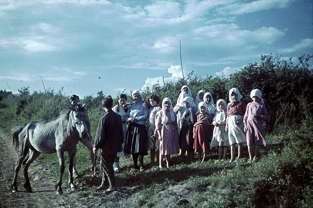 Children in the occupied village of Belgorod region and German soldiers next to the horse