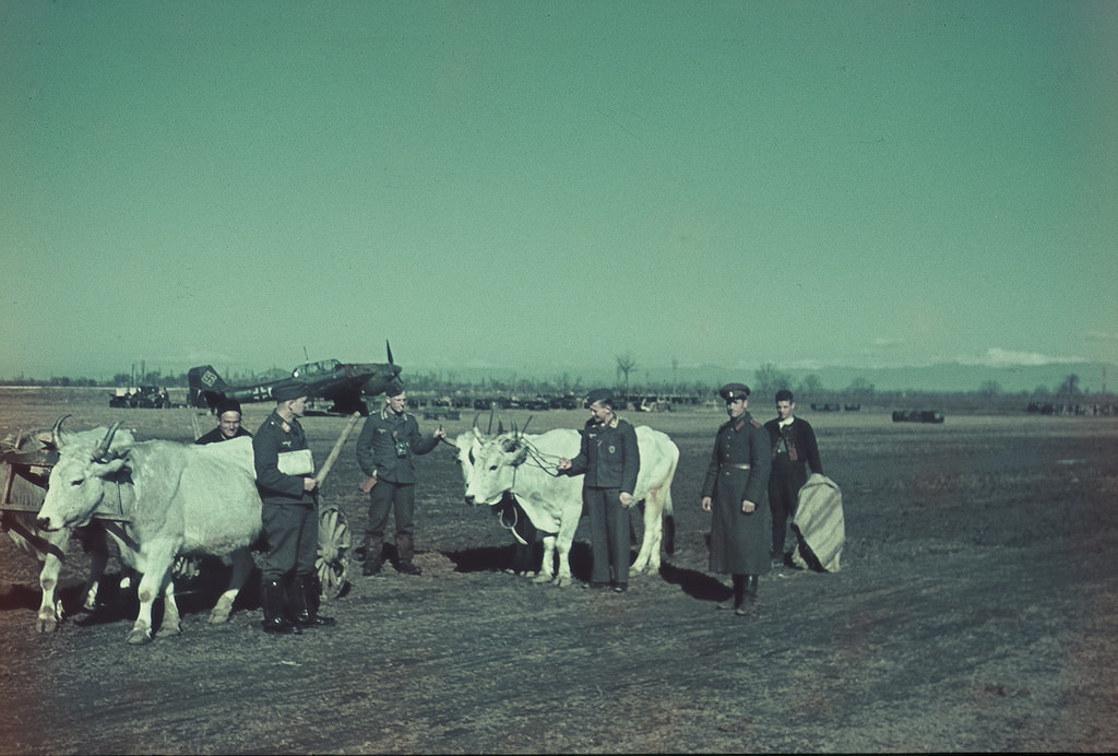 German pilots with peasant and oxen at one of the airports in Bulgaria