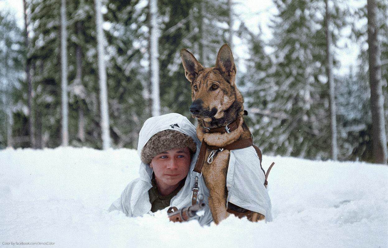 A Finnish soldier practices maneuvers in the winter snow at a military dog training school during the Finnish-Soviet Continuation War. Hämeenlinna, Finland. February 1941.