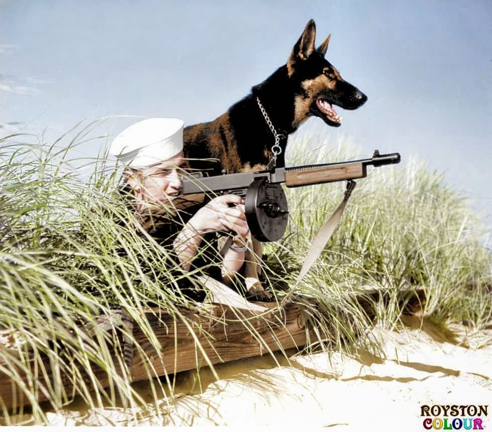 Dog Beach Patrol', (possibly on Parramore Beach, Virginia, US. October 1943)