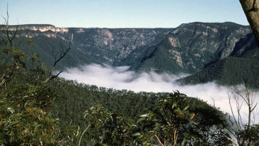 1950s Australia everyday life
