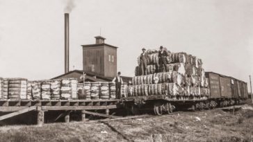 Greenville Texas 19th Century