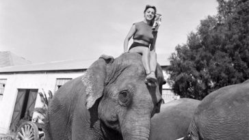 Sarasota Circus girls 1949