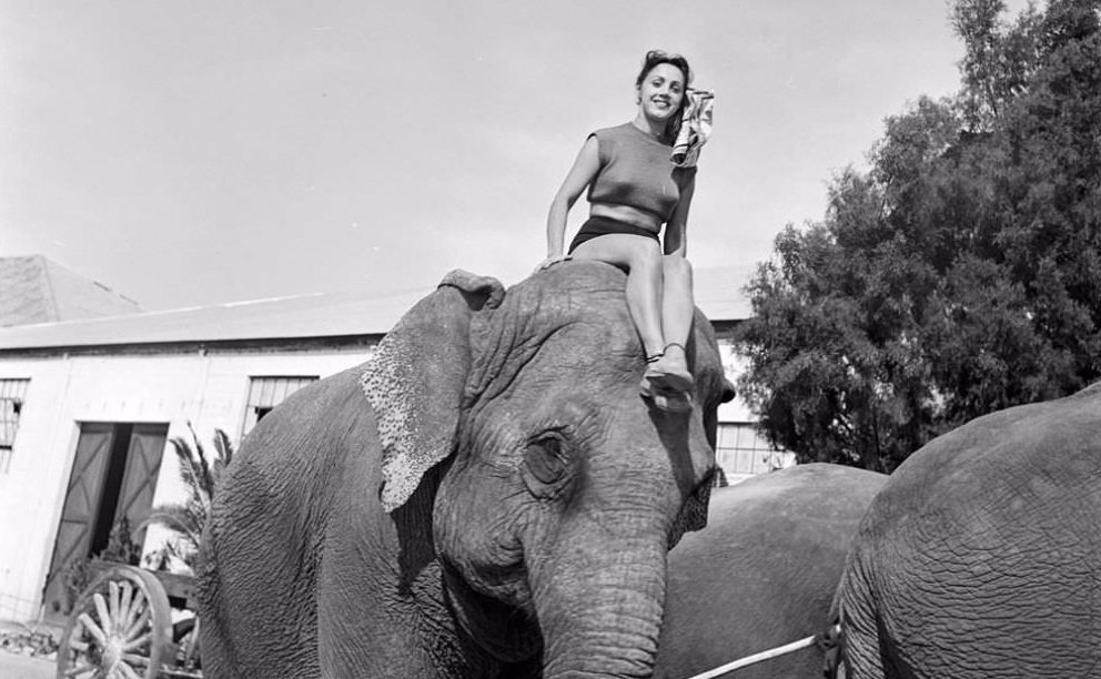 Sarasota Circus girls 1949