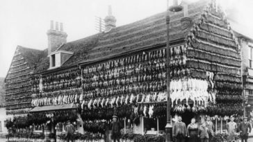 Victorian era butcher shops