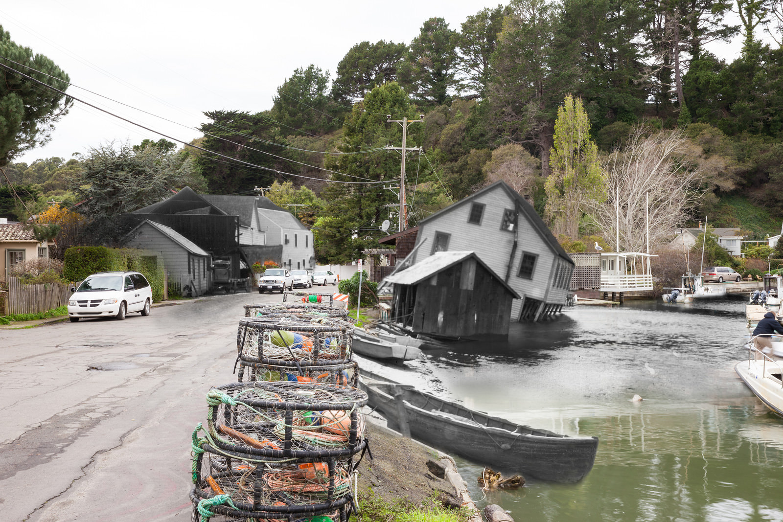 The shoreline in Bolinas.