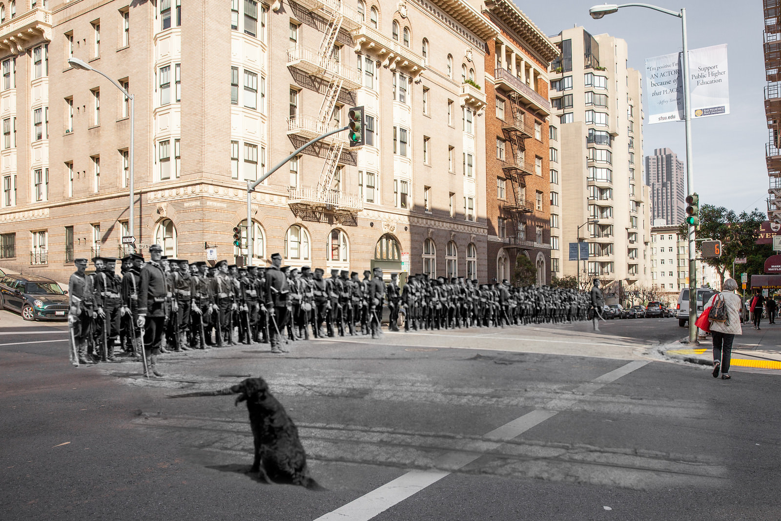 A lost dog watches a military unit from the US Navy's cutter Bear assemble for duty at Bush Street and Jones Street while a woman goes about her day.