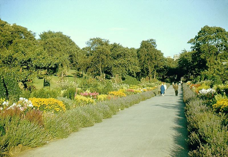 Gardens, Kelvingrove Park, 1961