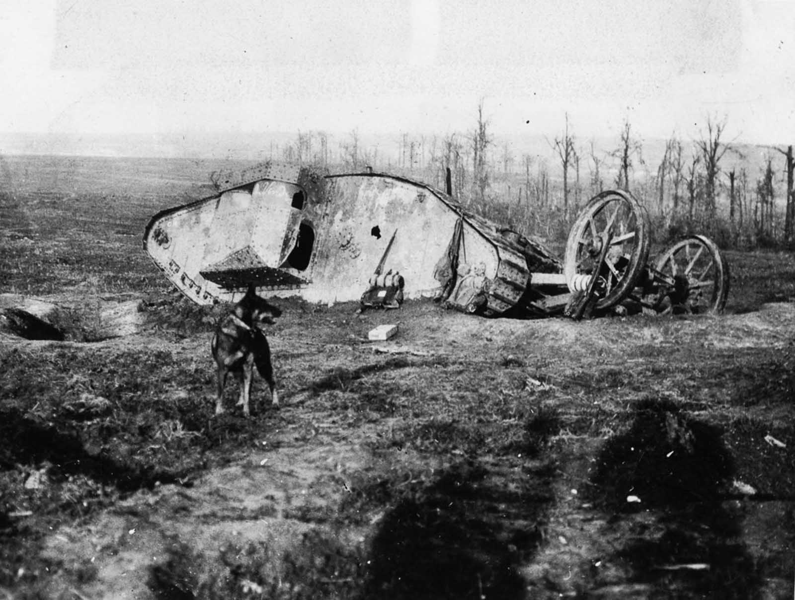 A Mark I tank lies ditched north of Bouleaux Wood on the day tanks first went into action.