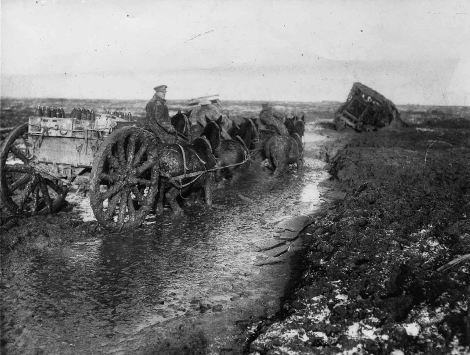 Horses haul ammunition forward in deep mud along the Lesboeufs Road outside Flers. November, 1916.