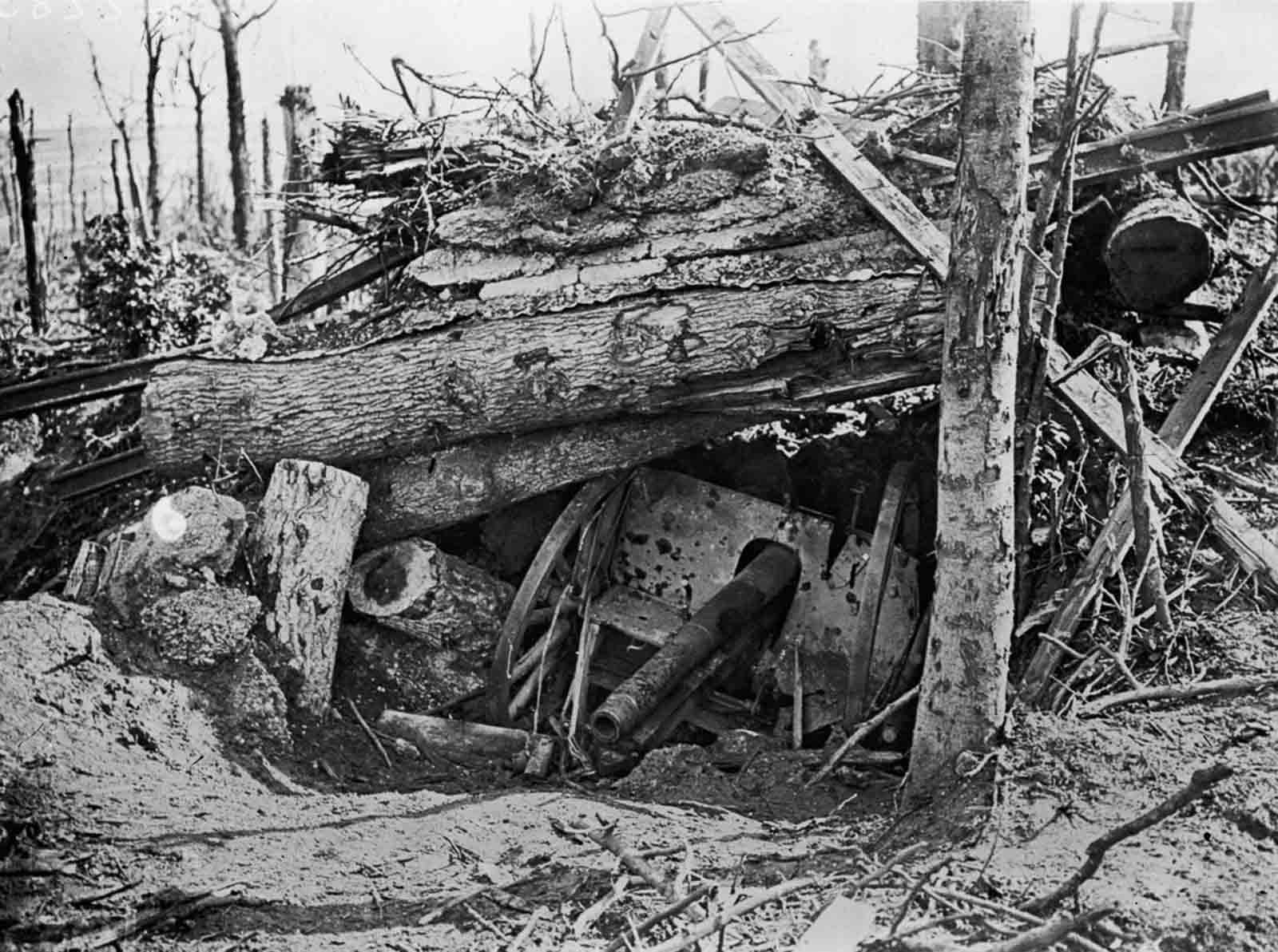 A German cannon lies buried under uprooted trees in Louage Wood during an Allied offensive. October 10, 1916