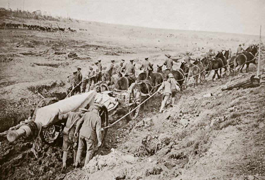A 12-horse team pulls a big gun with the help of the gun's crew.
