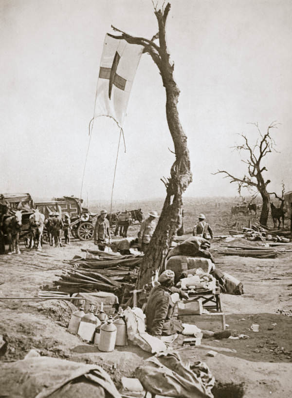 A Red Cross flag is affixed to a tree.